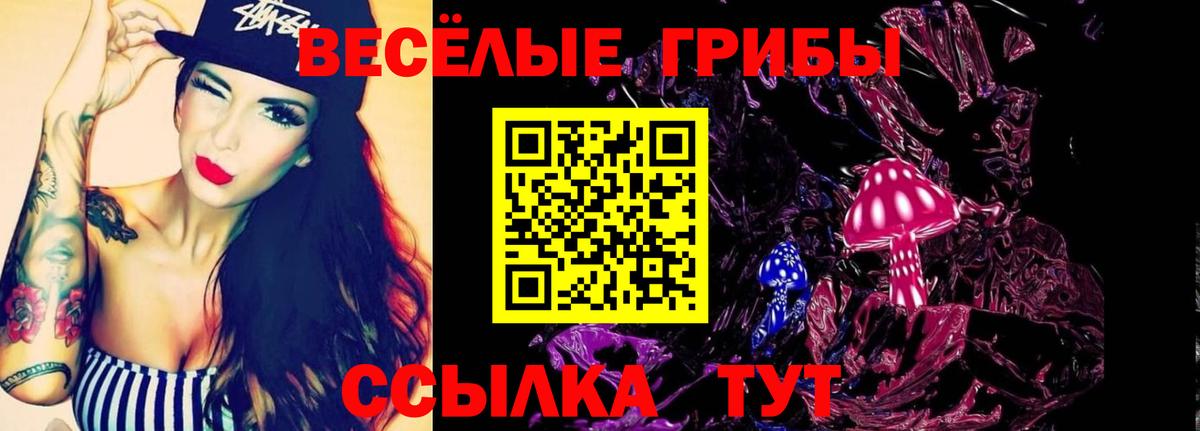 Иваново  Галлюциногенные грибы MAGIC MUSHROOMS  Вход с VPN  Галлюциногенные грибы Psilocybe 